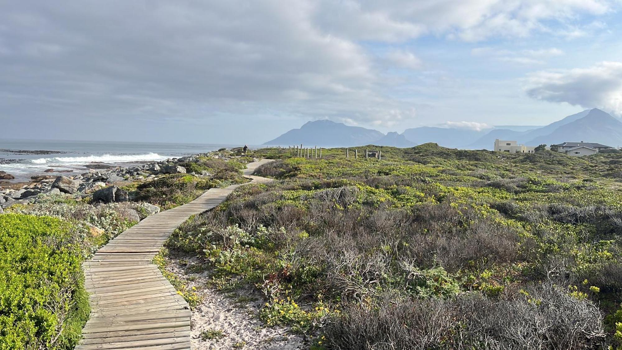 Storyhouse In Kommetjie Esterno foto